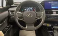 Miniature LEXUS UX 250h 2WD Luxe photo 12 1103949