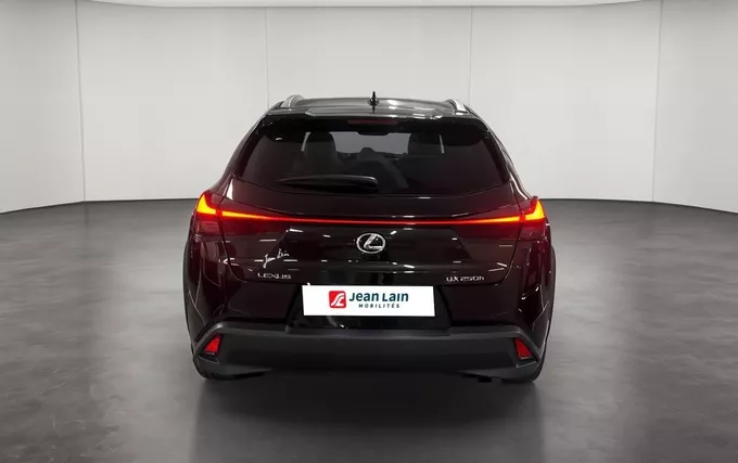 LEXUS UX 250h 2WD Luxe extérieur arrière 1103949
