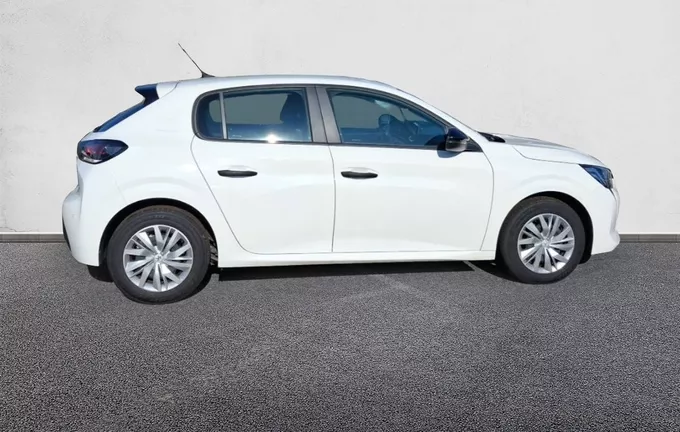 PEUGEOT 208 BLUEHDI 100 S&S BVM6 PREMIUM extérieur côté droit 106266