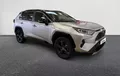 Miniature TOYOTA RAV4 Hybride 2WD Collection extérieur trois quart avant droit 212955