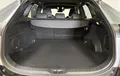 Miniature TOYOTA RAV4 Hybride 2WD Collection photo 10 212955