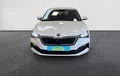 Miniature SKODA SCALA 1.0 TSI 116 ch DSG7 Business extérieur avant 213217