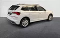 Miniature SKODA KAMIQ 1.0 TSI Evo 110 ch DSG7 Ambition extérieur avant 2129022