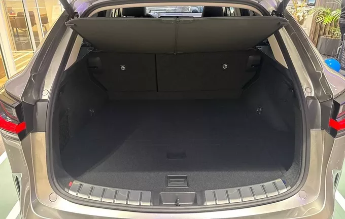 LEXUS NX 350h 2WD Hybride Match Point photo 10 190858