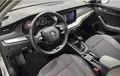 Miniature SKODA OCTAVIA 2.0 TDI 116 ch SCR BVM6 Selection photo 13 2123802