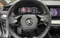 Miniature SKODA OCTAVIA 2.0 TDI 116 ch SCR BVM6 Selection photo 19 2123802
