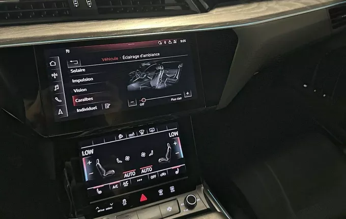AUDI E-TRON 55 quattro 408 ch Avus Extended photo 15 2131099