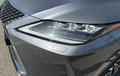 Miniature LEXUS RX 450h Luxe photo 22 1103249