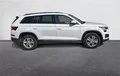 Miniature SKODA KODIAQ 2.0 TDI 150 SCR DSG7 4x4 5pl Business extérieur côté droit 2132329
