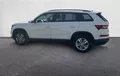 Miniature SKODA KODIAQ 2.0 TDI 150 SCR DSG7 4x4 5pl Business extérieur trois quart arrière gauche 2132329