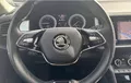 Miniature SKODA KODIAQ 2.0 TDI 150 SCR DSG7 4x4 5pl Business photo 20 2132329