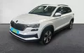 Miniature SKODA KAROQ 2.0 TDI 116 ch SCR DSG7 Business extérieur trois quart avant gauche 213207