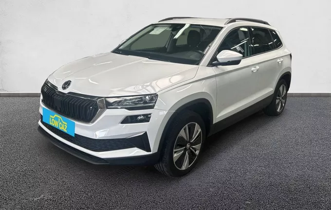 SKODA KAROQ 2.0 TDI 116 ch SCR DSG7 Business extérieur trois quart avant gauche 213207