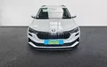 Miniature SKODA KAROQ 2.0 TDI 116 ch SCR DSG7 Business extérieur avant 213207