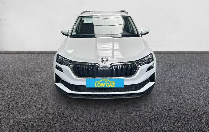 SKODA KAROQ 2.0 TDI 116 ch SCR DSG7 Business extérieur avant 213207