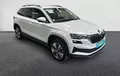 Miniature SKODA KAROQ 2.0 TDI 116 ch SCR DSG7 Business extérieur trois quart avant droit 213207