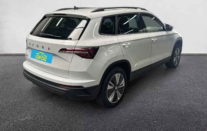 SKODA KAROQ 2.0 TDI 116 ch SCR DSG7 Business extérieur trois quart arrière droit 213207