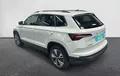 Miniature SKODA KAROQ 2.0 TDI 116 ch SCR DSG7 Business extérieur trois quart arrière gauche 213207