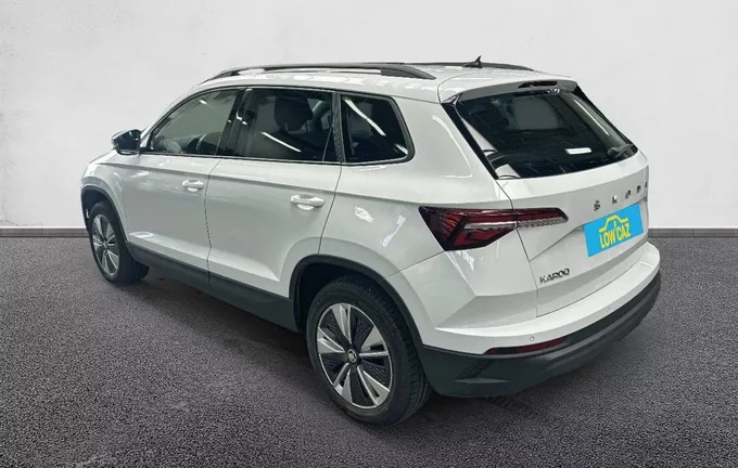 SKODA KAROQ 2.0 TDI 116 ch SCR DSG7 Business extérieur trois quart arrière gauche 213207