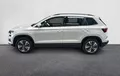 Miniature SKODA KAROQ 2.0 TDI 116 ch SCR DSG7 Business extérieur côté gauche 213207