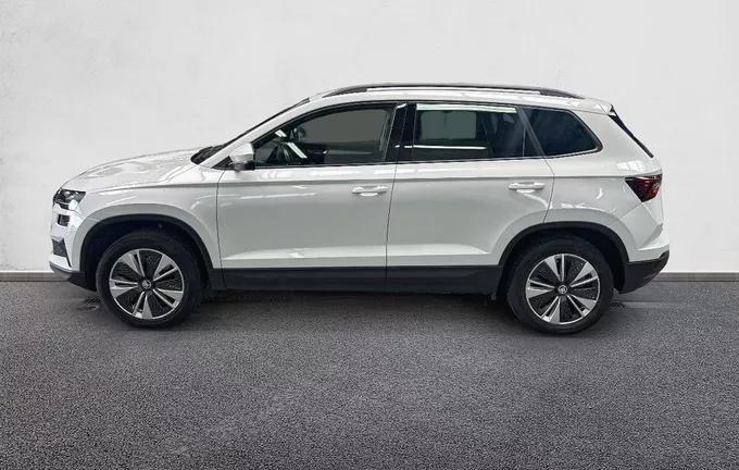 SKODA KAROQ 2.0 TDI 116 ch SCR DSG7 Business extérieur côté gauche 213207