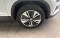 Miniature SKODA KAROQ 2.0 TDI 116 ch SCR DSG7 Business photo 9 213207