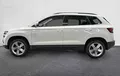 Miniature SKODA KAROQ 1.5 TSI 150 ch ACT Ambition extérieur côté gauche 213604