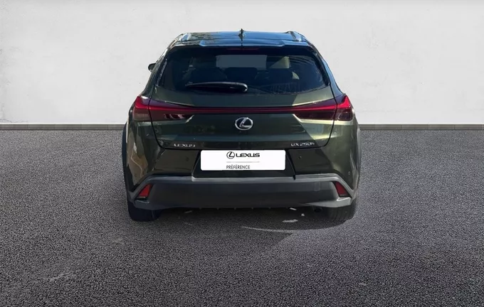 LEXUS UX 250h 2WD Luxe extérieur arrière 1103997