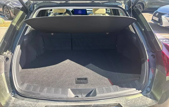 LEXUS UX 250h 2WD Luxe photo 10 1103997
