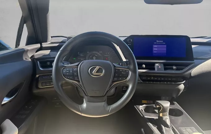 LEXUS UX 250h 2WD Luxe photo 11 1103997