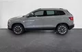 Miniature SKODA KAROQ 1.0 TSI 110 ch Clever extérieur trois quart arrière gauche 2128913