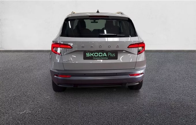 SKODA KAROQ 1.0 TSI 110 ch Clever extérieur côté gauche 2128913