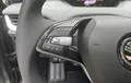 Miniature SKODA ENYAQ iV 60 photo 12 9625
