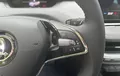 Miniature SKODA ENYAQ iV 60 photo 13 9625