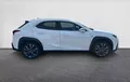 Miniature LEXUS UX 250h 4WD F SPORT Design extérieur côté droit 1103811