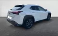 Miniature LEXUS UX 250h 4WD F SPORT Design extérieur trois quart arrière droit 1103811