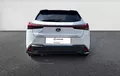 Miniature LEXUS UX 250h 4WD F SPORT Design extérieur arrière 1103811