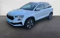 Miniature SKODA KAROQ 2.0 TDI 116 ch SCR DSG7 Business extérieur trois quart avant gauche 212831