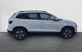 Miniature SKODA KAROQ 2.0 TDI 116 ch SCR DSG7 Business extérieur côté droit 212831
