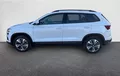 Miniature SKODA KAROQ 2.0 TDI 116 ch SCR DSG7 Business extérieur trois quart arrière gauche 212831