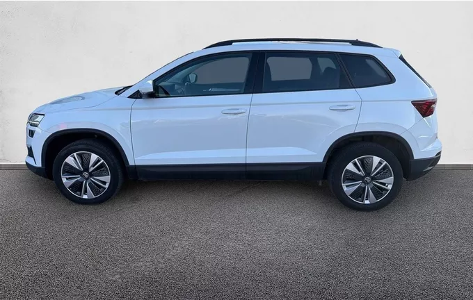 SKODA KAROQ 2.0 TDI 116 ch SCR DSG7 Business extérieur trois quart arrière gauche 212831