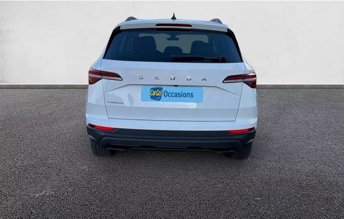 SKODA KAROQ 2.0 TDI 116 ch SCR DSG7 Business extérieur côté gauche 212831