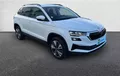 Miniature SKODA KAROQ 2.0 TDI 116 ch SCR DSG7 Business photo 10 212831