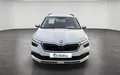 Miniature SKODA KAMIQ 1.0 TSI Evo 110 ch DSG7 Young Edition extérieur avant 2132294