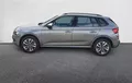 Miniature SKODA KAMIQ 1.0 TSI Evo 2 116 ch BVM6 Selection extérieur trois quart arrière gauche 2131663