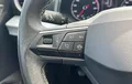 Miniature SEAT IBIZA 1.0 TSI 95 ch S/S BVM5 Copa photo 13 2127903