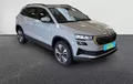 Miniature SKODA KAROQ 2.0 TDI 116 ch SCR Business extérieur trois quart avant droit 211864