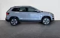 Miniature SKODA KAROQ 2.0 TDI 116 ch SCR Business extérieur côté droit 211864