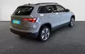Miniature SKODA KAROQ 2.0 TDI 116 ch SCR Business extérieur trois quart arrière droit 211864