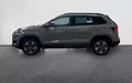 Miniature SKODA KAROQ 2.0 TDI 116 ch SCR Business extérieur côté gauche 211864